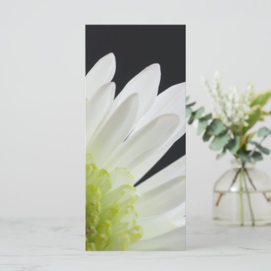 White Daisy on Black Wedding Program Programmakaart (Staand voorkant)