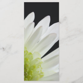 White Daisy on Black Wedding Program Programmakaart