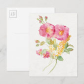 White Daisy on Blue Briefkaart (Voorkant / Achterkant)