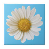 White Daisy on Sky Blue Background Tegeltje (Voorkant)