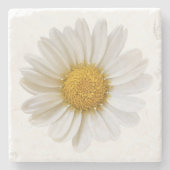 White Daisy on White Background Floral Stenen Onderzetter (Voorkant)