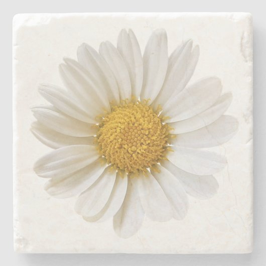 White Daisy on White Background Floral Stenen Onderzetter (Voorkant)