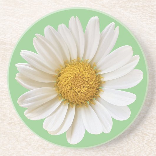 White Daisy over Sage Green Background Zandsteen Onderzetter (Voorkant)