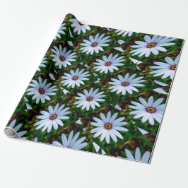 White Daisy Pattern Cadeaupapier