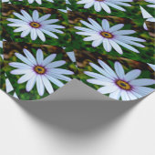 White Daisy Pattern Cadeaupapier (Hoek)