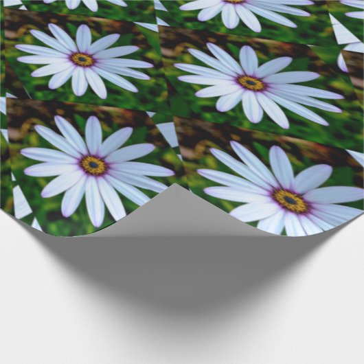 White Daisy Pattern Cadeaupapier (Hoek)