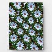 White Daisy Pattern Fotoplaat (voorkant)