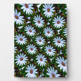 White Daisy Pattern Fotoplaat