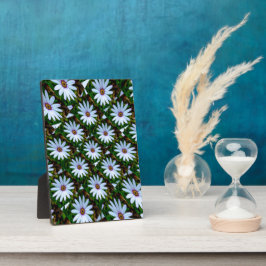 White Daisy Pattern Fotoplaat