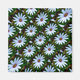 White Daisy Pattern Magneet