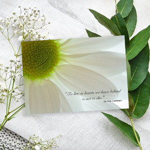 White Daisy Petals Bedankt voor je medeleven