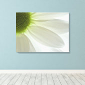 White Daisy Petals Canvas Afdruk (Insitu (Houten vloer))