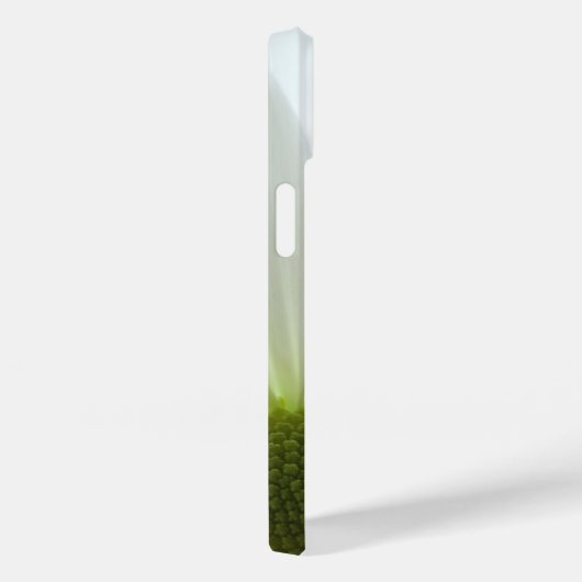 White Daisy Petals Case-Mate iPhone Case (Achterkant / Rechts)