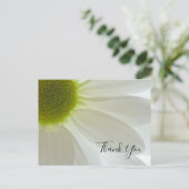White Daisy Petals Dank je wel Briefkaart (Staand voorkant)