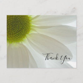 White Daisy Petals Dank je wel Briefkaart