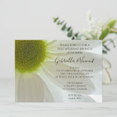 White Daisy Petals Post Wedding Brunch Kaart (Staand voorkant)