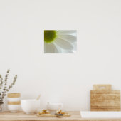 White Daisy Petals Poster (Keuken)