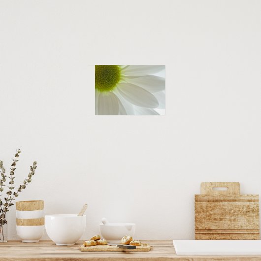 White Daisy Petals Poster (Keuken)