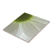 White Daisy Petals Tegeltje (Zijkant)