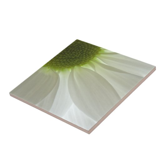 White Daisy Petals Tegeltje (Zijkant)