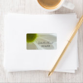 White Daisy Petals Wedding for Label (Insitu)