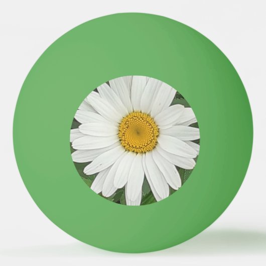 White Daisy Pingpongbal (Voorkant)
