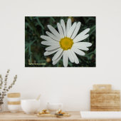 White Daisy Poster (Keuken)