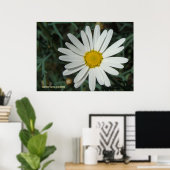 White Daisy Poster (Thuiskantoor)