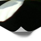 White Daisy Poster (Hoek)