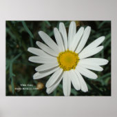 White Daisy Print - Selecteer je Lijst (Voorkant)