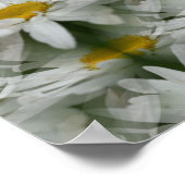 White Daisy Raindrops Flower Abstract Poster (Hoek)