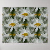 White Daisy Raindrops Flower Abstract Poster (Voorkant)