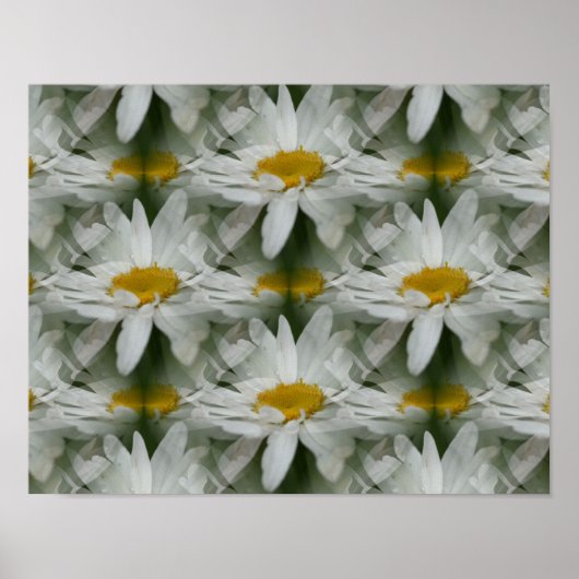 White Daisy Raindrops Flower Abstract Poster (Voorkant)