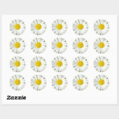 White Daisy Ronde Sticker (Vel)