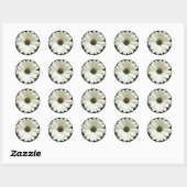 White Daisy Ronde Sticker (Vel)