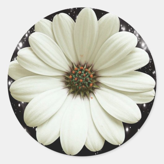 White Daisy Ronde Sticker (Voorkant)