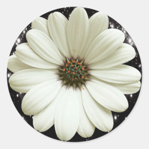 White Daisy Ronde Sticker