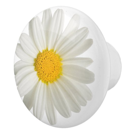 White Daisy Round Ceramic Drawer Pull Knobs Keramische Knop (Rechts)