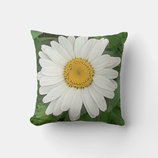 White Daisy Scatter Cushion Kussen (Voorkant)