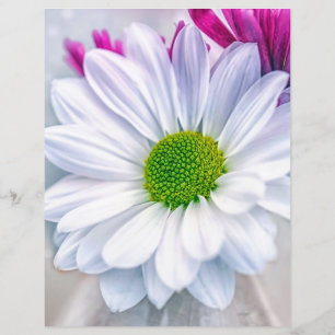 White Daisy Scrapbook