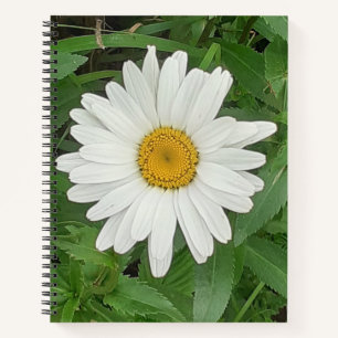 White Daisy Spiral notebook Notitieboek