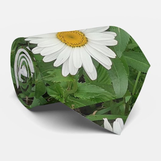 White Daisy Stropdas (Opgerold)