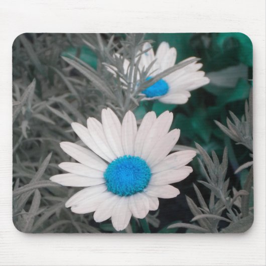 White Daisy (w Blue) mousepad Muismat (Voorkant)