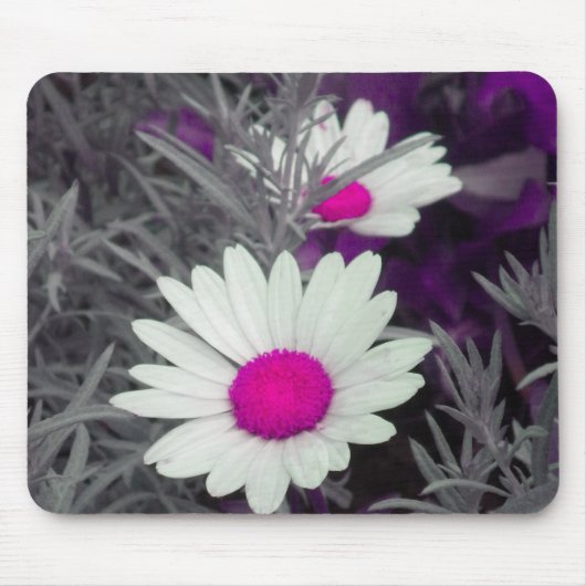 White Daisy (w Pink) mousepad Muismat (Voorkant)