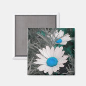 White Daisy (w/Turquoise) Magnet (Voorkant / Achterkant)
