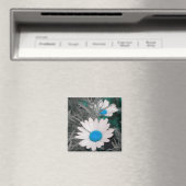 White Daisy (w/Turquoise) Magnet (Insitu (Vaatwasser))