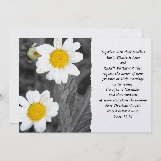 White Daisy Wedding Kaart (Voorkant / Achterkant)
