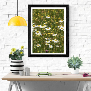 White Daisy Wildbloemen Poster