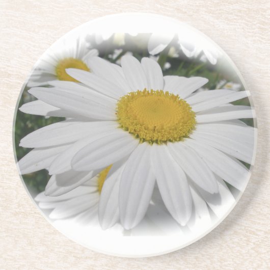 White Daisy Zandsteen Onderzetter (Voorkant)