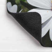 White Daisy's in Bloom Muismat (Hoek)